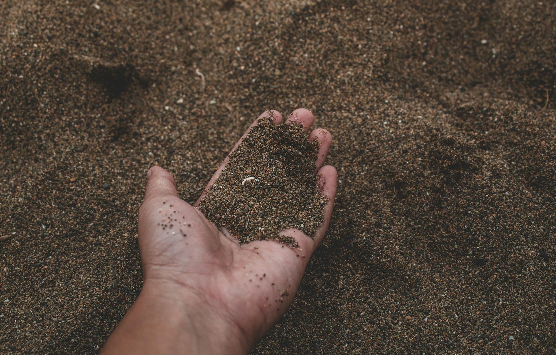 close up photo of person holding sand