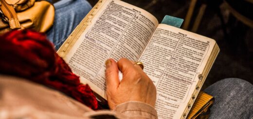 person holding opened book